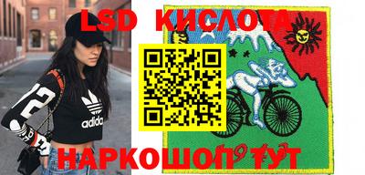 PSILOCYBIN Обнинск