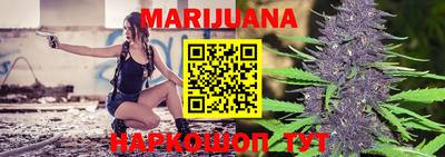 сатива Новозыбков