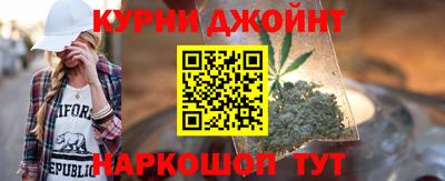 сатива Новозыбков
