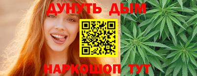 сатива Новозыбков