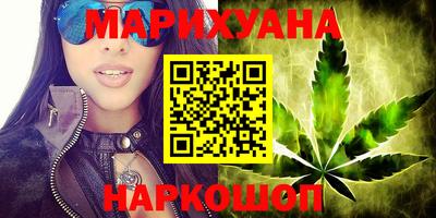 сатива Новозыбков