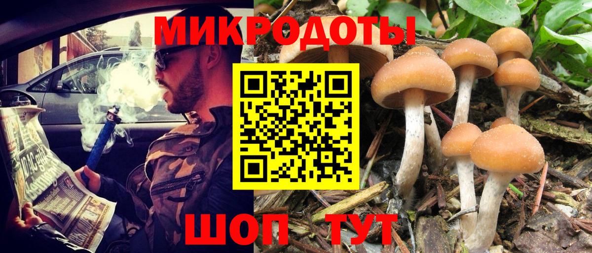 Галлюциногенные грибы GOLDEN TEACHER  где можно купить   Удомля  Вход с VPN 
