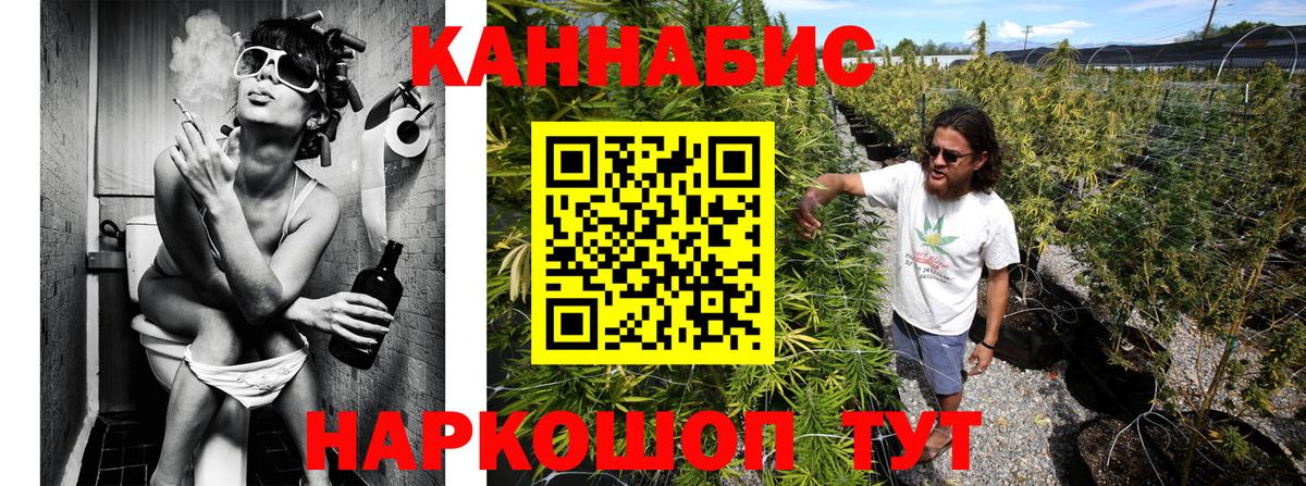 Конопля конопля  Вход с VPN  Удомля  Бошки марихуана ГИДРОПОН  Бошки марихуана THC 21% 